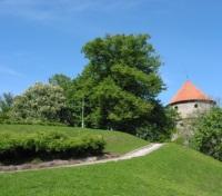 Toompea Hill