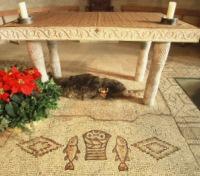 Church of the Multiplication