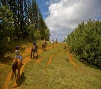 Horseback Trail Ride