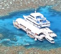 Reef World Reef World