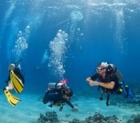 Scuba Diving