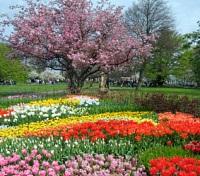 Keukenhof Keukenhof