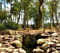 Fontaine de Barenton - Broceliande