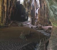 Gomantong Cave