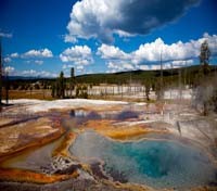 Yellowstone National Park