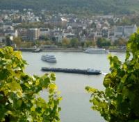 Bingen Bingen