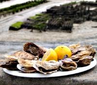 Cancale Oysters