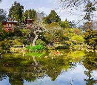 Japanese Tea Garden