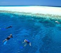  Snorkelling on the Atolls Reef Systems 