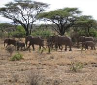 Shimba Hills National Reserve 