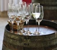 Wine Tasting