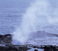 Sprouting Horn Park Kauai
