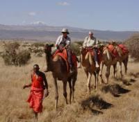 Camel Ride Camel Ride