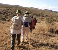 Walking Safari