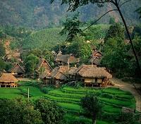 Hoa Binh 