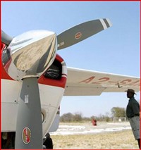 Moremi Park Flight Moremi Park Flight