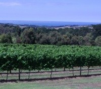 Mornington Peninsula