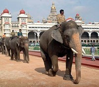Mysore