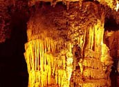 Waitomo Caves