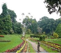 Peradeniya Botanical Garden