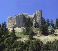 Ayyubid castle 