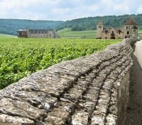 Clos de Vougeot, Route des Grands Crus Clos de Vougeot, Route des Grands Crus