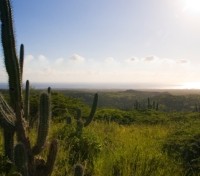 Arikok Aruba