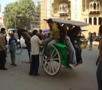 Tonga Ride