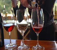 Can Bonastre wine Can Bonastre wine