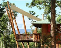Treetop Cottage
