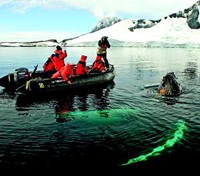 Whale by a Zodiac Boat