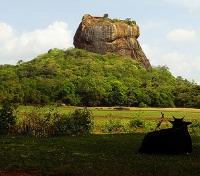 Sigiriya Rock Fortress