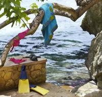 Snorkel & Swim