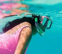 Mustique Snorkeling