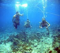 Snuba Diving