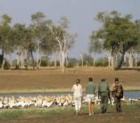 South Luangwa Walking Safari