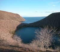 Tagus Cove 