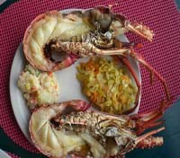 Lobster Meal