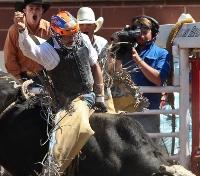 Stampede Rodeo