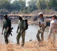 Walking Safari Walking Safari