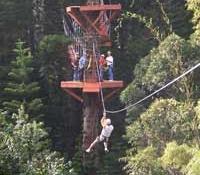Zipline Zipline