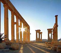 Palmyra Palmyra
