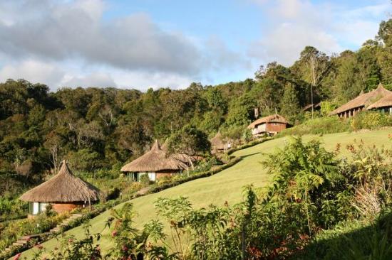 Ambua Lodge, Papua New Guinea