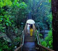 Vythiri Resort