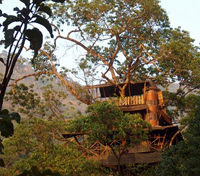 Vythiri Resort