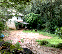 Windermere Estate - Walking Trail