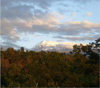 View from the Kilimanjaro Mountain Resort