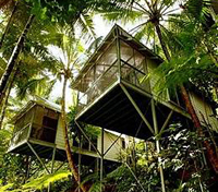 Daintree Eco Lodge & Spa - Cabin