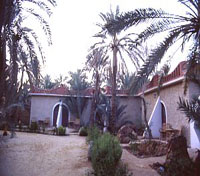 Outside Siwa Paradise