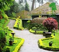 Tall Trees Resort